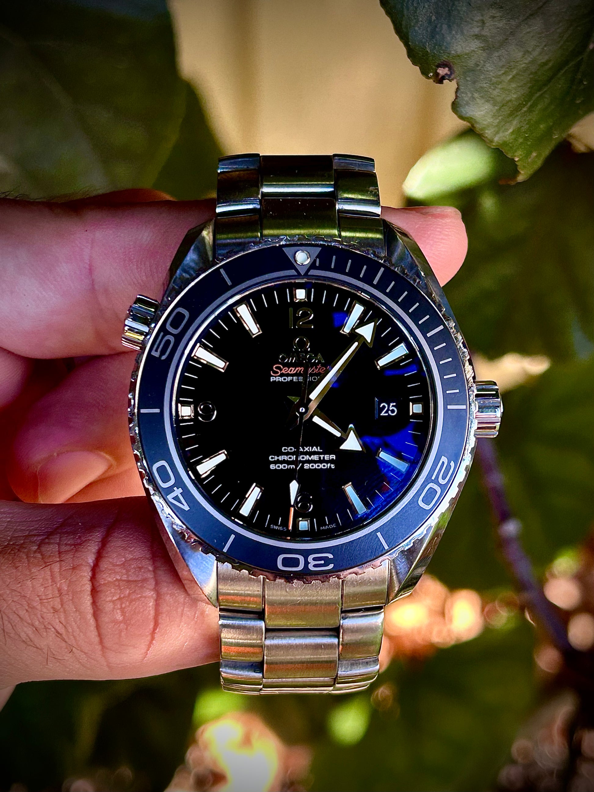 Omega seamaster 2024 planet ocean 45.5